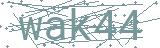 Fehler beim Laden des Captchas