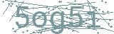 Fehler beim Laden des Captchas