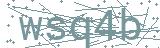 Fehler beim Laden des Captchas