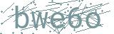 Fehler beim Laden des Captchas