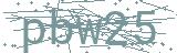 Fehler beim Laden des Captchas