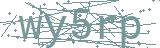 Fehler beim Laden des Captchas