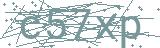Fehler beim Laden des Captchas