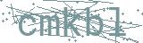 Fehler beim Laden des Captchas