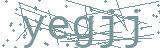 Fehler beim Laden des Captchas