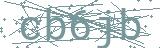 Fehler beim Laden des Captchas