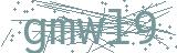 Fehler beim Laden des Captchas