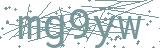 Fehler beim Laden des Captchas