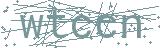 Fehler beim Laden des Captchas