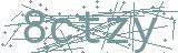 Fehler beim Laden des Captchas