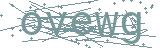 Fehler beim Laden des Captchas