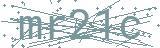 Fehler beim Laden des Captchas