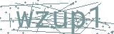 Fehler beim Laden des Captchas