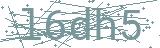 Fehler beim Laden des Captchas
