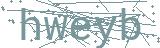 Fehler beim Laden des Captchas