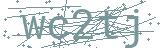 Fehler beim Laden des Captchas