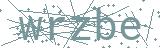 Fehler beim Laden des Captchas