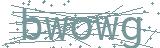Fehler beim Laden des Captchas