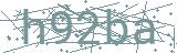 Fehler beim Laden des Captchas