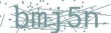 Fehler beim Laden des Captchas