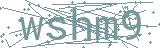 Fehler beim Laden des Captchas