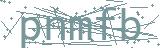 Fehler beim Laden des Captchas