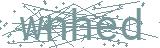 Fehler beim Laden des Captchas