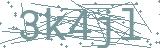 Fehler beim Laden des Captchas