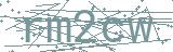 Fehler beim Laden des Captchas