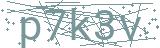 Fehler beim Laden des Captchas
