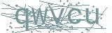 Fehler beim Laden des Captchas