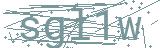 Fehler beim Laden des Captchas