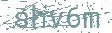Fehler beim Laden des Captchas