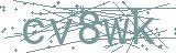 Fehler beim Laden des Captchas