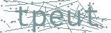 Fehler beim Laden des Captchas