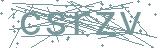 Fehler beim Laden des Captchas