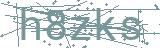 Fehler beim Laden des Captchas