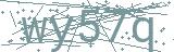 Fehler beim Laden des Captchas
