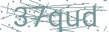 Fehler beim Laden des Captchas