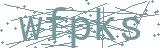Fehler beim Laden des Captchas