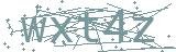 Fehler beim Laden des Captchas