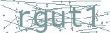 Fehler beim Laden des Captchas