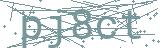 Fehler beim Laden des Captchas