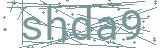 Fehler beim Laden des Captchas