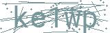 Fehler beim Laden des Captchas