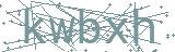 Fehler beim Laden des Captchas