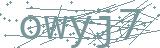 Fehler beim Laden des Captchas