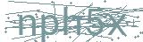 Fehler beim Laden des Captchas