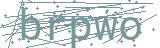 Fehler beim Laden des Captchas
