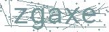 Fehler beim Laden des Captchas